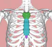 Фрактура на гръдната кост: симптоми, причини, лечение и последици