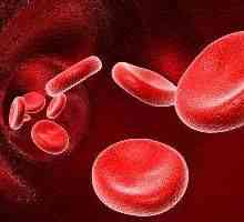 Първата отрицателна кръвна група: нейните характеристики и въздействие върху бременността.