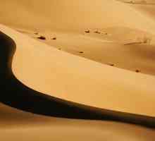 Пясък Баркхан. Какво е бархан и каква е неговата роля в живота на пустинята?