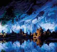 Пещерата на Петралона (Гърция): описание