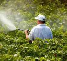 Пестицидите са вещества, които разрушават вредителите