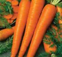 Пикантни и деликатни моркови
