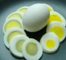 Хранителна стойност на яйцата: най-смилаемият продукт