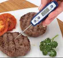 Термометър за храни: основни предимства и разнообразие от асортименти