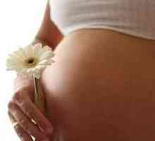 Плацентата на предната стена на матката: извинение за възбуда или вариант на нормата?
