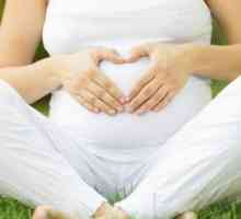Плацентен полип след раждане: симптоми и лечение