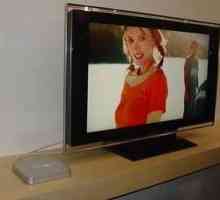 Плазмени телевизори Samsung: функции на избор