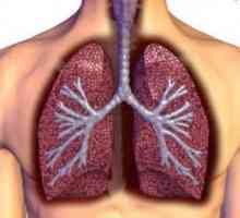 Pleuritis на белите дробове: какво е това, как да се лекуват народни средства? Причини, симптоми и…