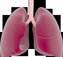Туберкулозен плеврит: видове, причини и лечение
