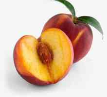 Плод: класификация на плодовете и особеностите на тяхната структура