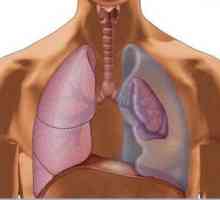 Pneumothorax lung: причини, симптоми и първа помощ