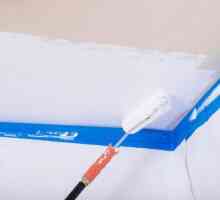Таванът на тавана с боя на водна основа сами: инструкции стъпка по стъпка