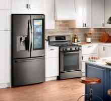 Защо хладилникът се тъпче? Какво да направите и как да го коригирате?