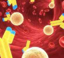 Защо имуноглобулин Е се увеличава при деца
