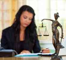 Защо избирам професията на адвокат? Професионалистите на адвокатската професия