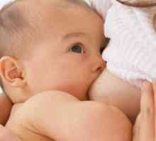 Защо кърмата е толкова важна за бебето и майката