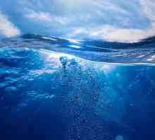 Защо морето е синьо: мнения и факти