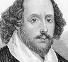 Защо изображението на Хамлет е вечен образ? Имиджът на Хамлет в трагедията на Шекспир