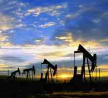 Защо цената на петрола пада? Световните цени на петрола