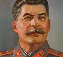 Защо растенето на Сталин е подценявано след 20-ия конгрес?