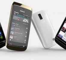 Почти смартфон Nokia Asha 310