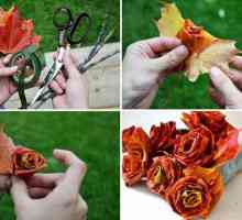Занаяти "Есенни подаръци" със собствени ръце от естествени материали: идеи, инструкции