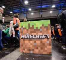 Подробности за това как да направите кариера в "Minecraft"