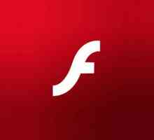 Подробности за това как да активирате `Flash Player` в Yandex. Brauzere`