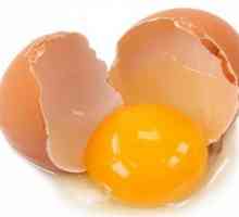 Подробности за колко протеини в едно яйце