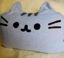 Възглавница "котка" със собствени ръце. Как да вържате възглавница с игли за плетене