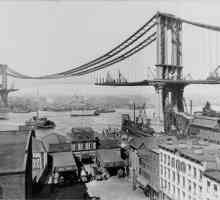 Мостът за окачване на Манхатън е един от символите на Ню Йорк