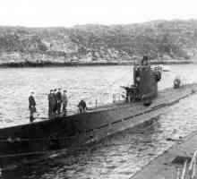 Подводницата "S-56" във Владивосток: история, снимка