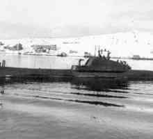 Подводна флота на Русия: история