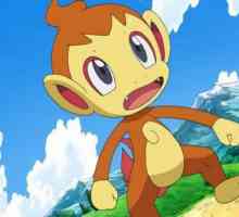 Pokemon Chimchar: цялата информация за домашния любимец