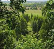 Polessky радиационно-екологичен резерват: датата на основаване, целта на образованието, района,…