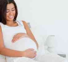 Колко полезна е репичката по време на бременност?