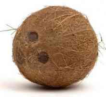 Полезни съвети: как да изрежете кокос