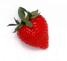 Полезни свойства на ягоди: склад от витамини в малко плодове