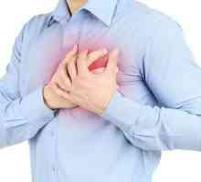 Полезни билки за сърцето и кръвоносните съдове: списък, рецепти и приложения