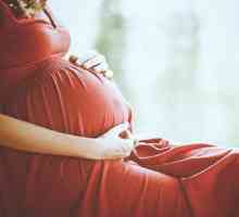 Polyp по време на бременност: причини, симптоми, лечение, последици