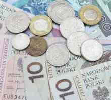 Полска валута: запознайте се с злотата