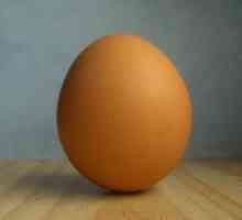 Полза и вреда на пилешкото яйце. Всички най-интересни