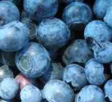 Ползите от плодове и тяхното съдържание на калории: боровинки