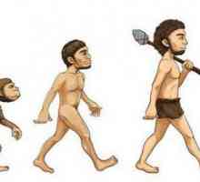 Понятието "еволюция" във философията