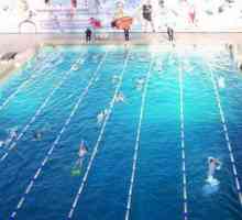 Популярните плувни басейни на Ростов за любителите на плуването