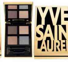 Популярни нюанси на Yves Saint Laurent: характеристики, цветове, цени и рецензии