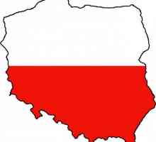 Посолство на Полша в Москва: дейности и услуги