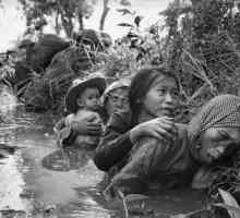 Загубите в САЩ във Виетнам: по година