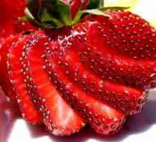 Зашеметяваща ягода `chamor turusi`