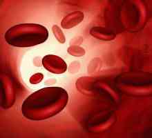 Повишавайте правилно хемоглобина в кръвта
